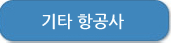 기타 항공사